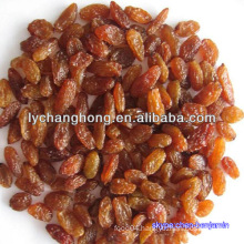 Raisins/different types of seeds